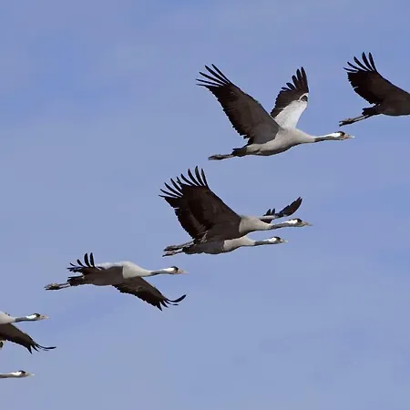 Casa de Férias 2 Koehr-eickhoff Lembruch