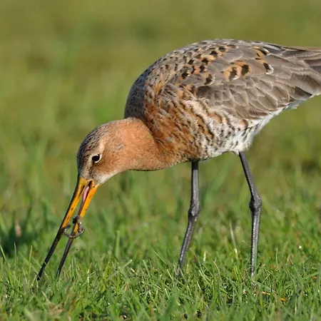 Casa de Férias 2 Koehr-eickhoff