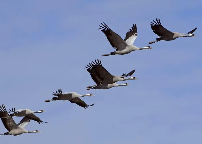 Semesterbostad 2 Koehr-eickhoff Lembruch