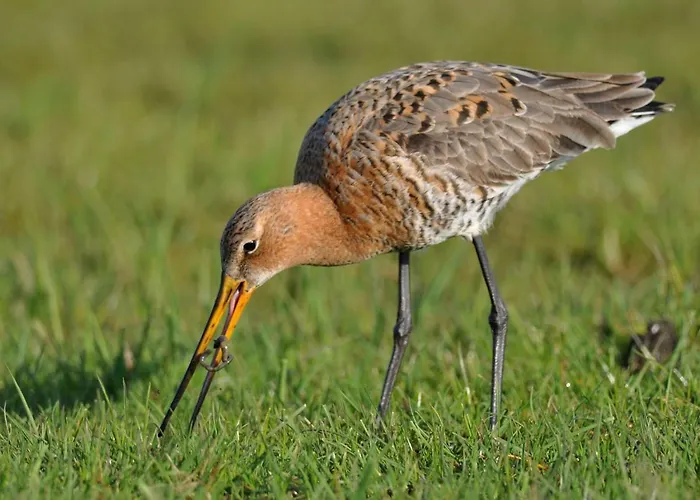 Semesterbostad 2 Koehr-eickhoff